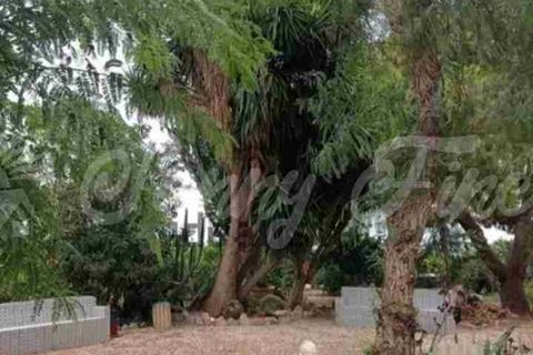Villa i Elche, Alicante, Elche - € 350.000 | Ref: SF0567 - foto 18